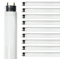 24 Inch T8 Fluorescent Tube Light Bulb 17W 4100K Cool White 2800 Lumen G13 Bi-Pin Base Pack of 10 F443