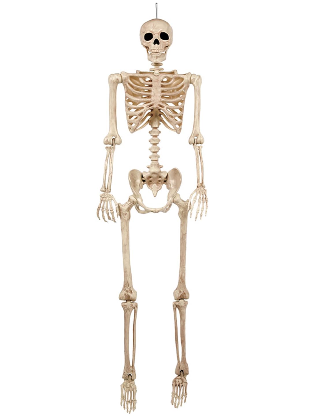 5 FT Life Size Skeleton Halloween Decoration B95773