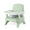3-in-1 Portable Booster Seat R350721