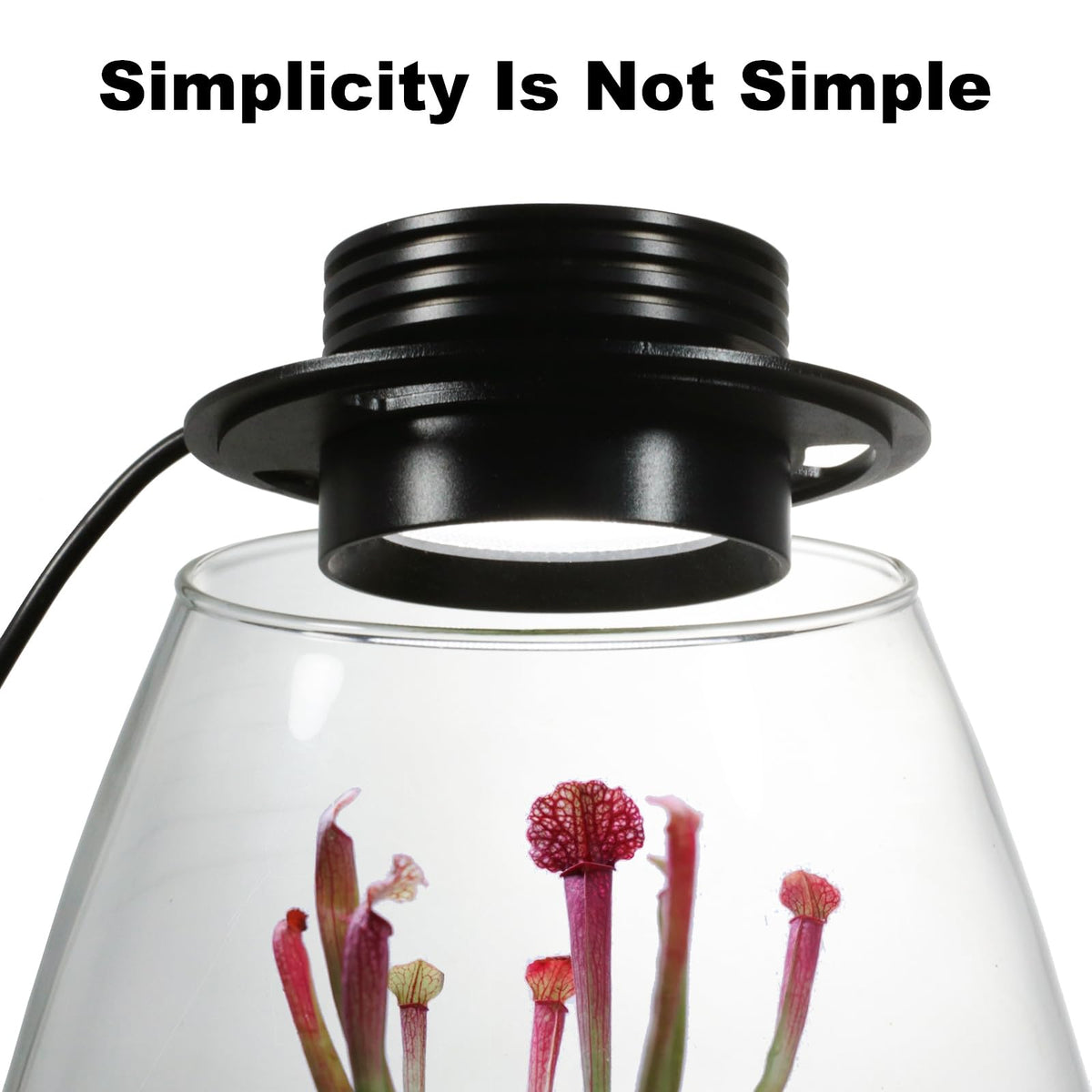 Glass Plant Terrarium with Grow Light B660