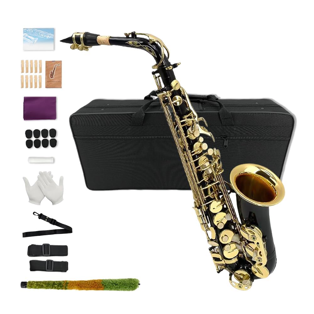 Eb Alto Saxophone Full Kit Black & Gold X86838