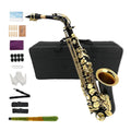 Eb Alto Saxophone Full Kit Black & Gold X86838