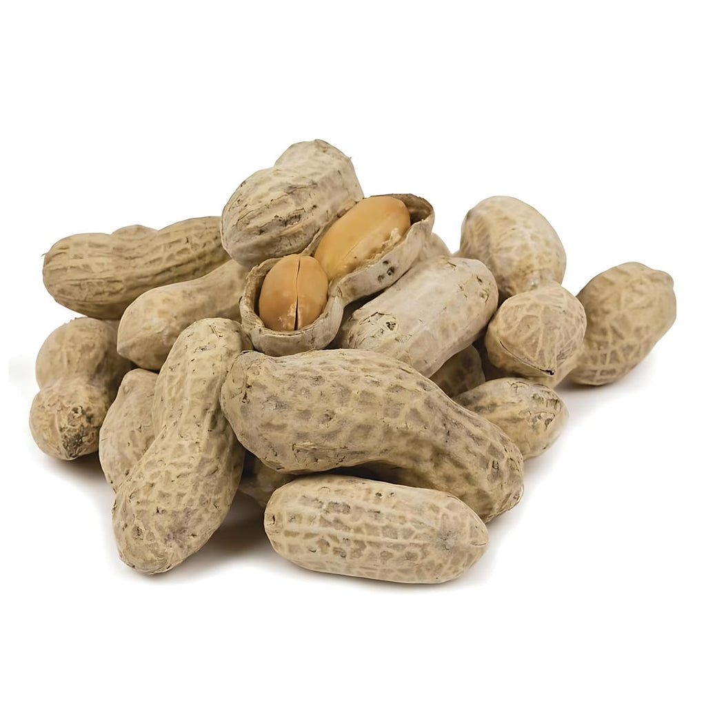 In-Shell Peanuts 10 Pounds B878037