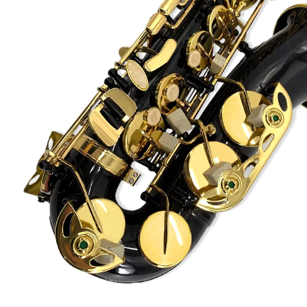 Eb Alto Saxophone Full Kit Black & Gold X86838