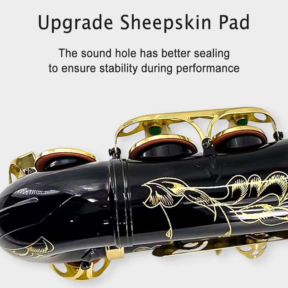 Eb Alto Saxophone Full Kit Black & Gold X86838