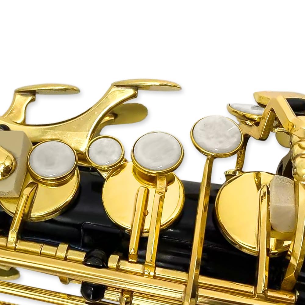 Eb Alto Saxophone Full Kit Black & Gold X86838
