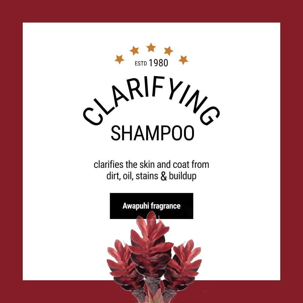 Dog Shampoo 1 Gallon D85085