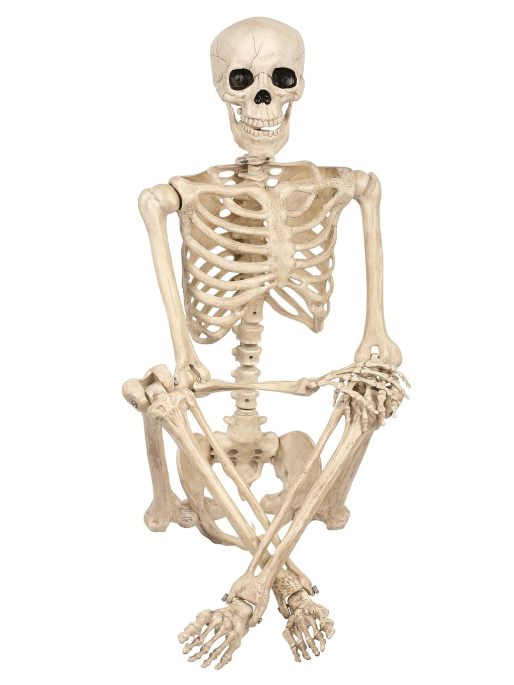 5 FT Life Size Skeleton Halloween Decoration B95773