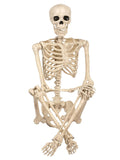 5 FT Life Size Skeleton Halloween Decoration B95773
