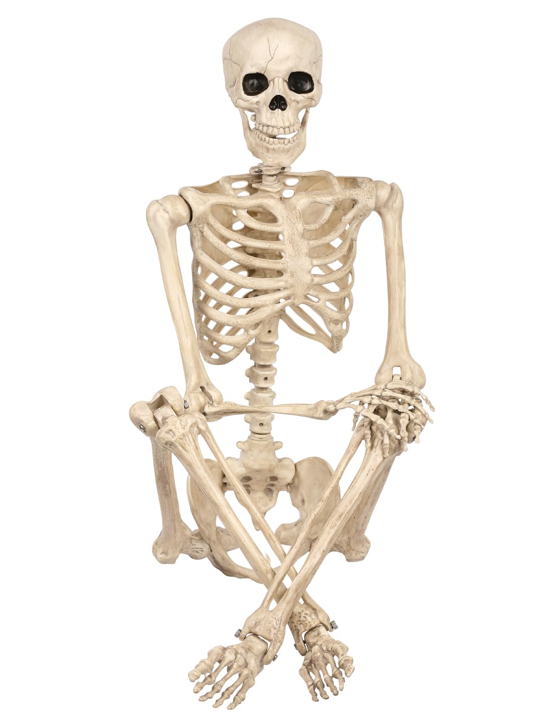 5 FT Life Size Skeleton Halloween Decoration B95773