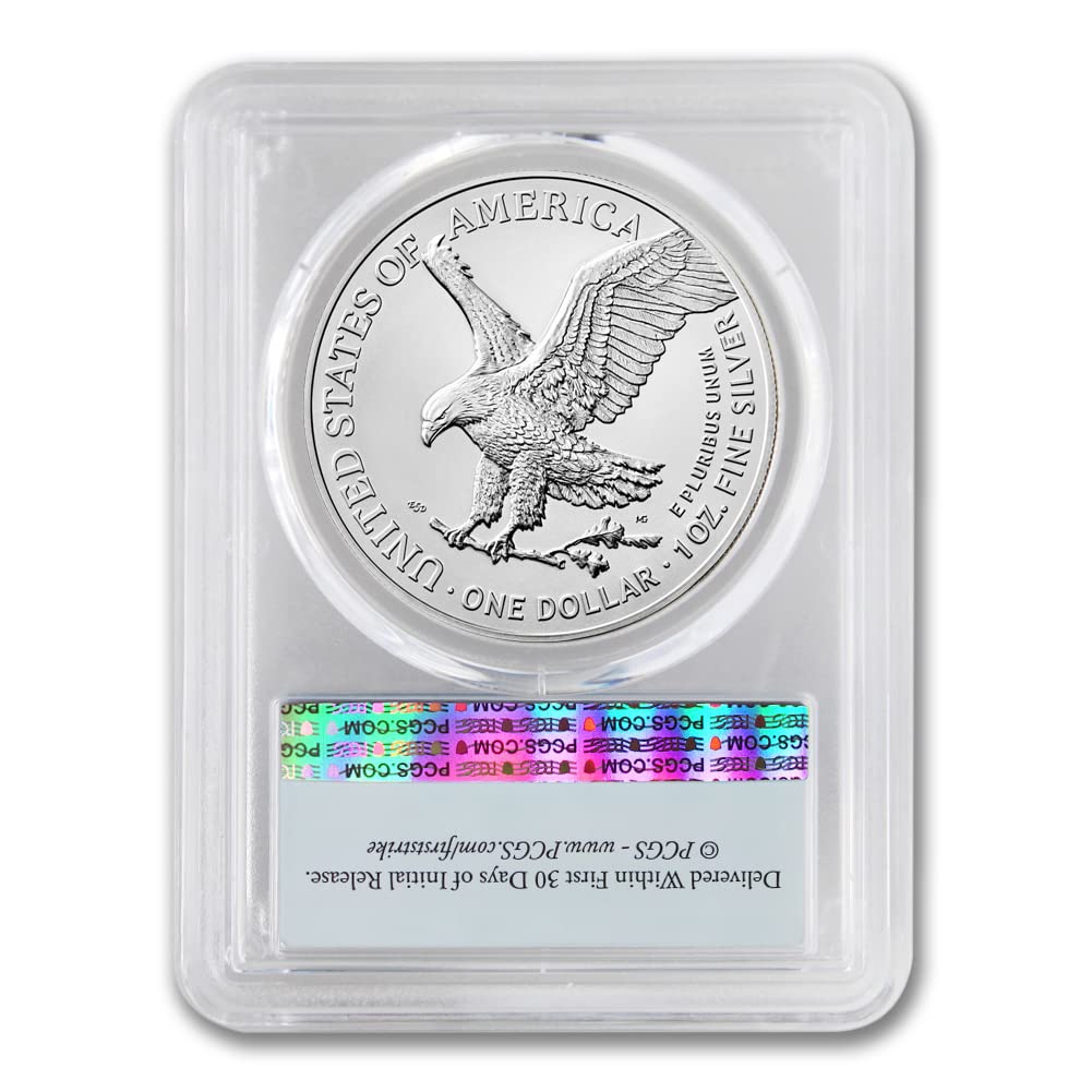 1 oz American Silver Eagle Coin I667287