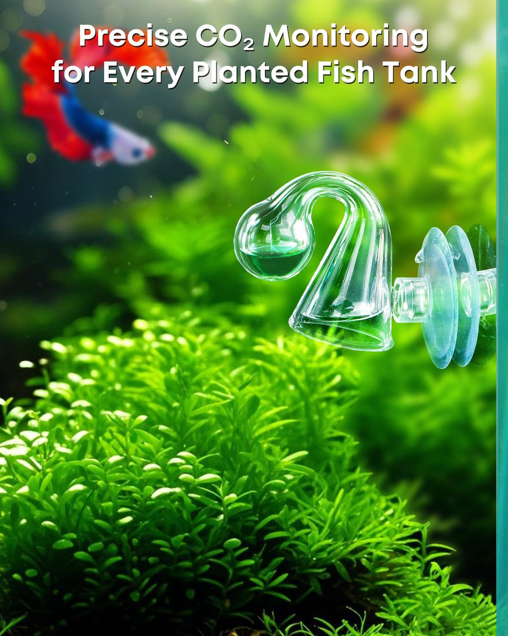 Glass CO2 Drop Checker for Aquarium L79651