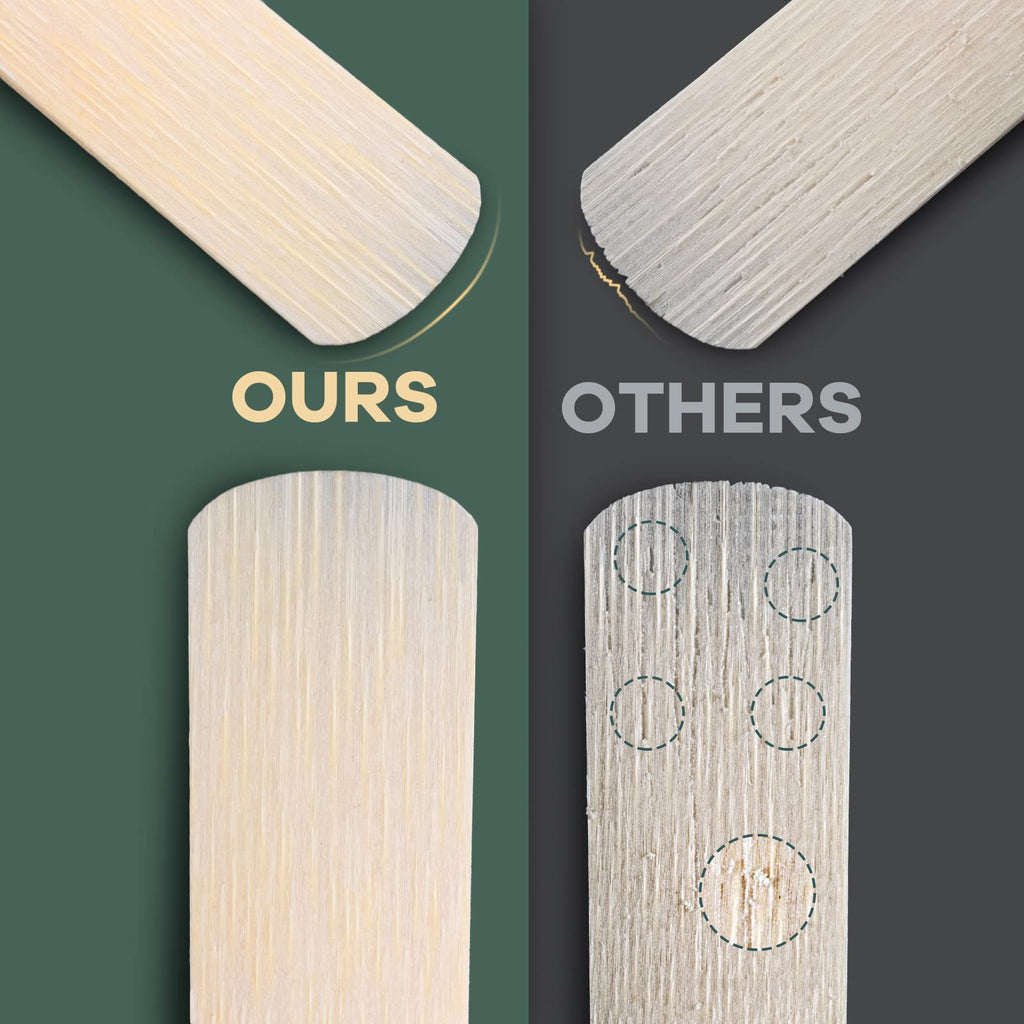 Alto Saxophone Reeds 2.0 10 Pack W927