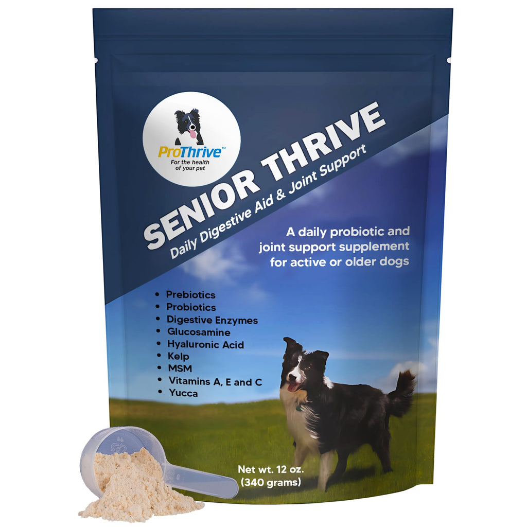 12 Oz Senior Dog Digestive & Joint Supplement W43005