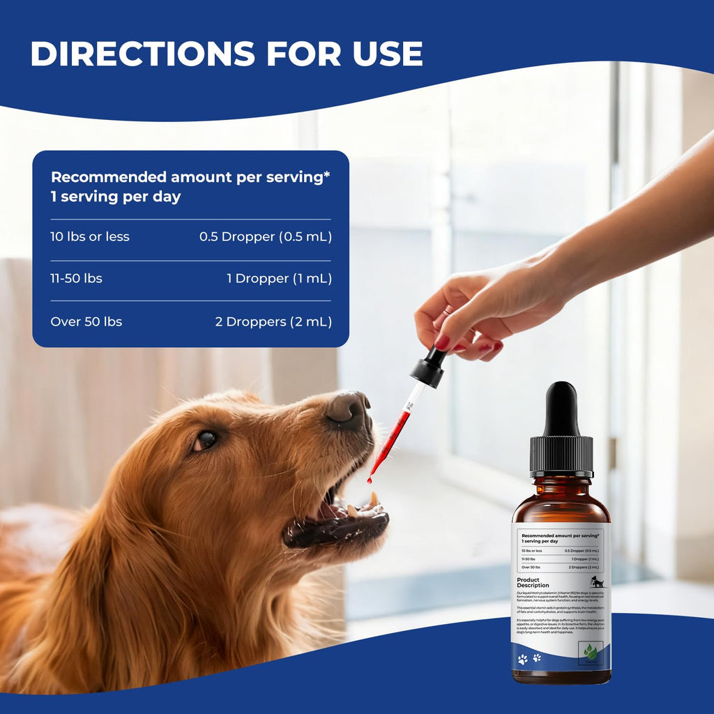 Liquid Vitamin B12 & Methylcobalamin Drops O68804