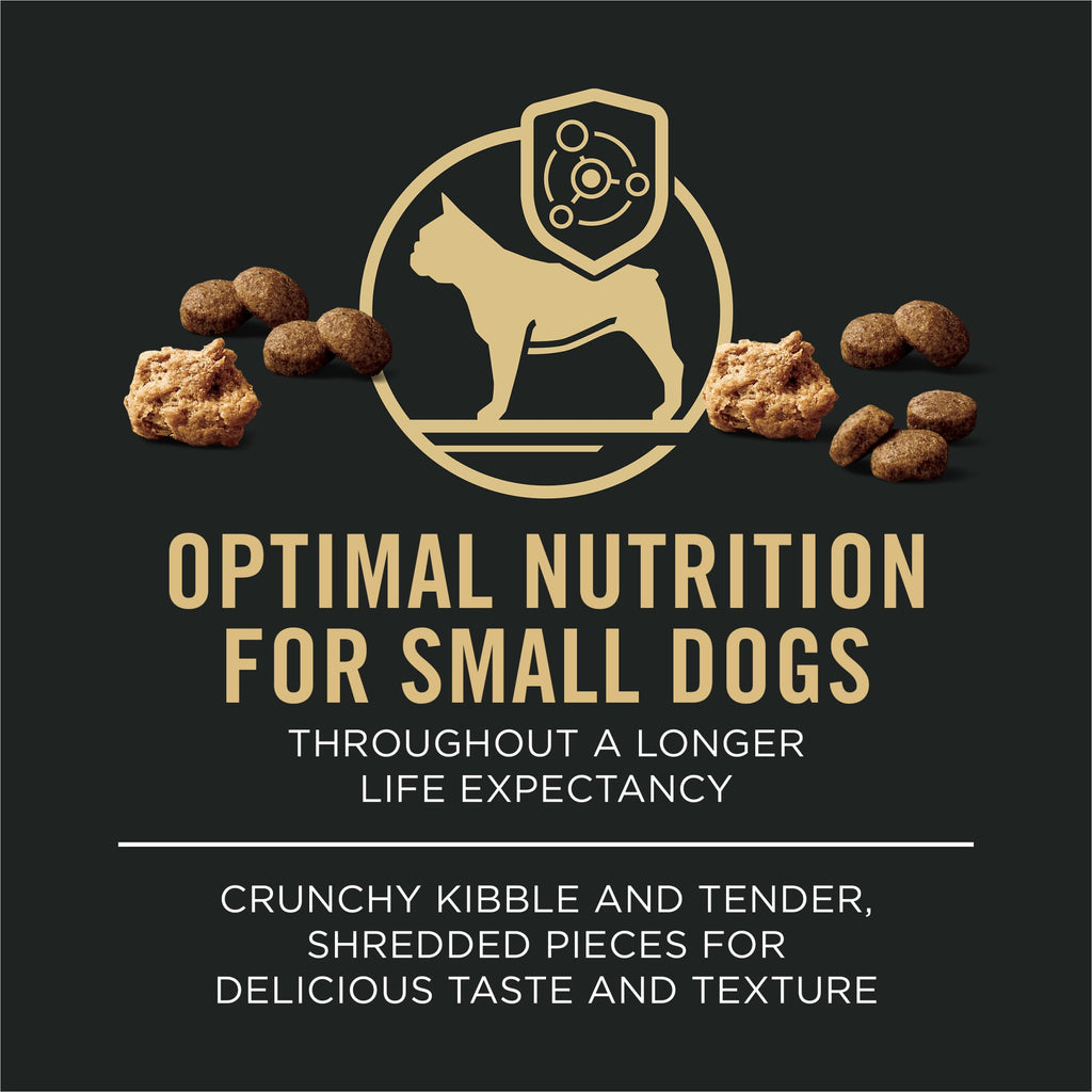 Small Breed Dry Dog Food Shredded Blend Beef 6 lb Bag D985496