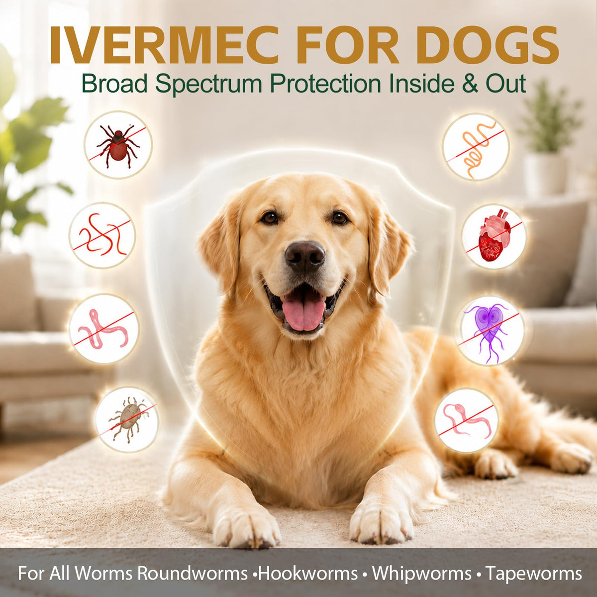 Broad Spectrum Dog Dewormer T484777