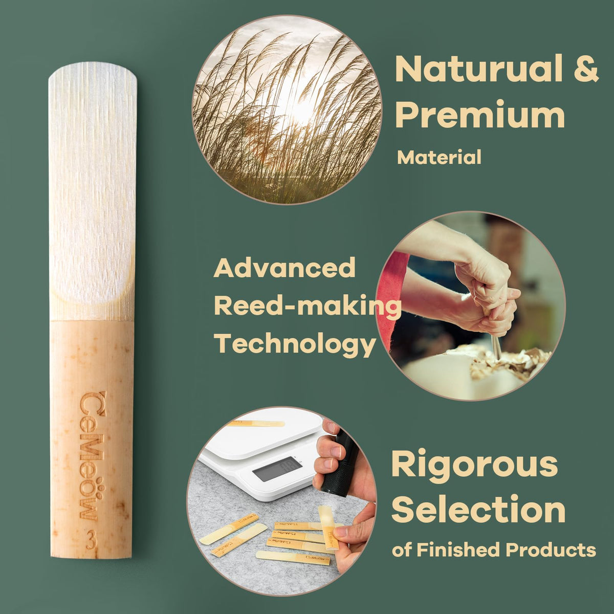 Alto Saxophone Reeds 2.0 10 Pack W927