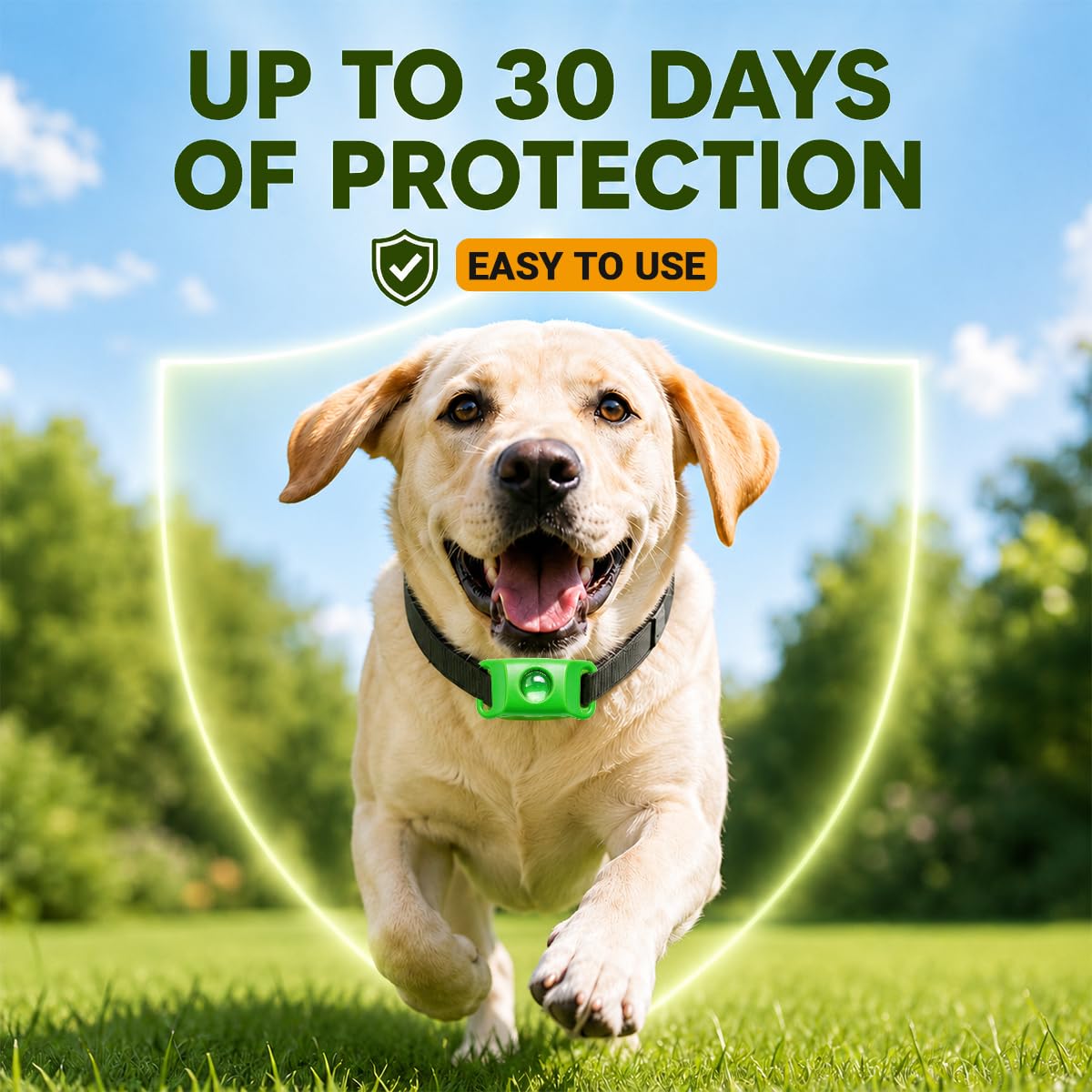 Flea and Tick Prevention Pendant for Dogs with 2 Pendants and 6 Refills T485