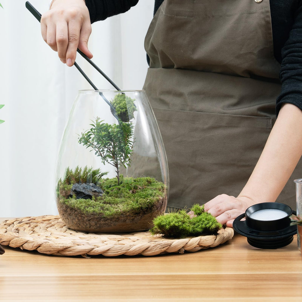 Glass Plant Terrarium with Grow Light B660