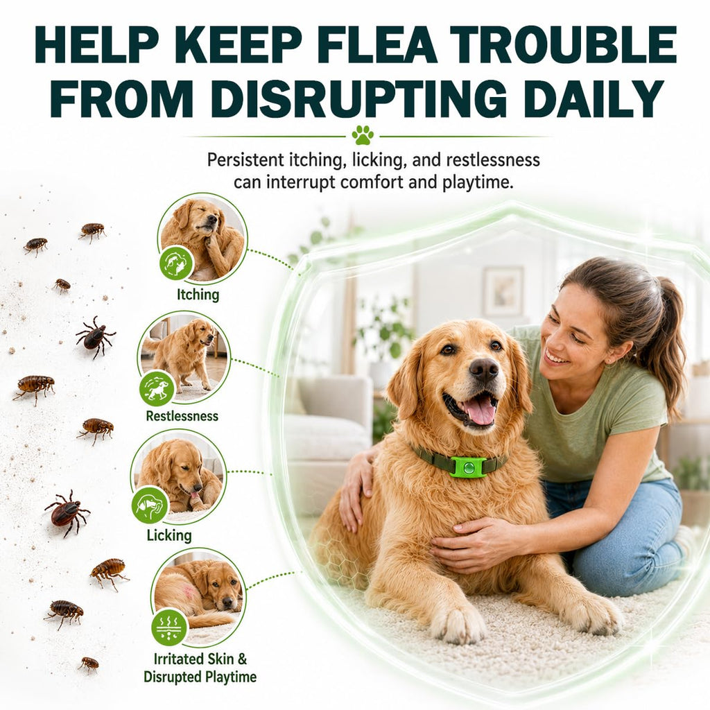Flea and Tick Prevention Pendant for Dogs with 2 Pendants and 6 Refills T485