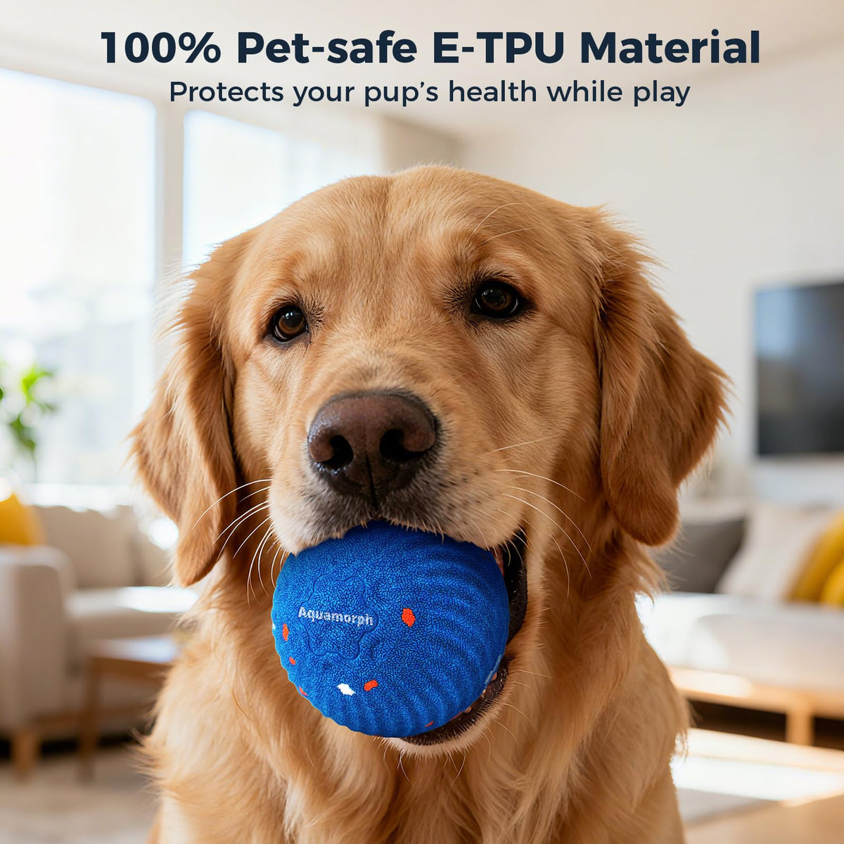 2-Pack Interactive Washable Dog Ball I929