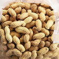 Roasted Salted Peanuts in the Shell 10 LB Q26777