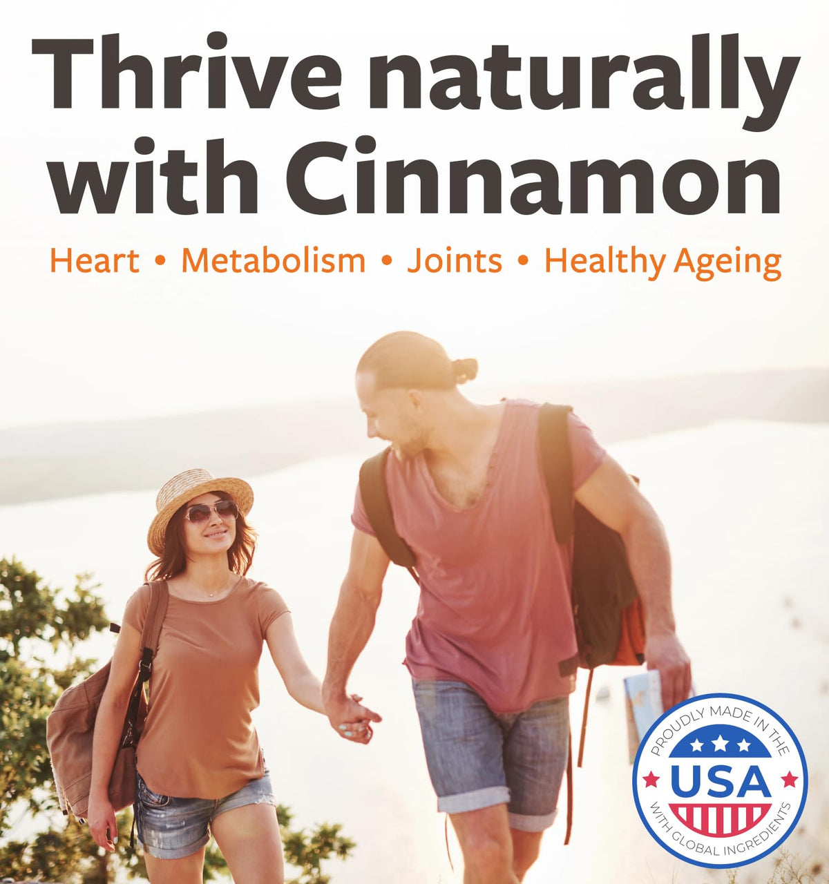 USDA Organic Ceylon Cinnamon 1000mg Vegan Non-GMO Supplement P541138