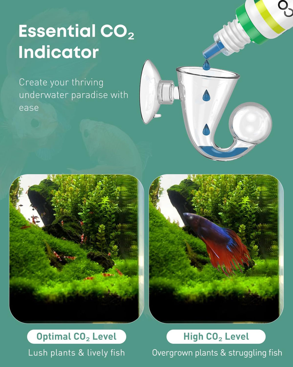 Glass CO2 Drop Checker for Aquarium L79651