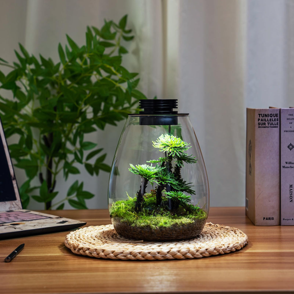 Glass Plant Terrarium with Grow Light B660
