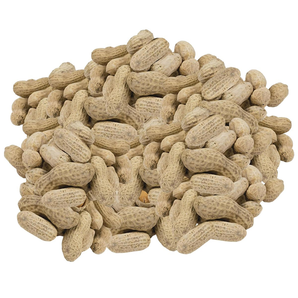 In-Shell Peanuts 10 Pounds B878037