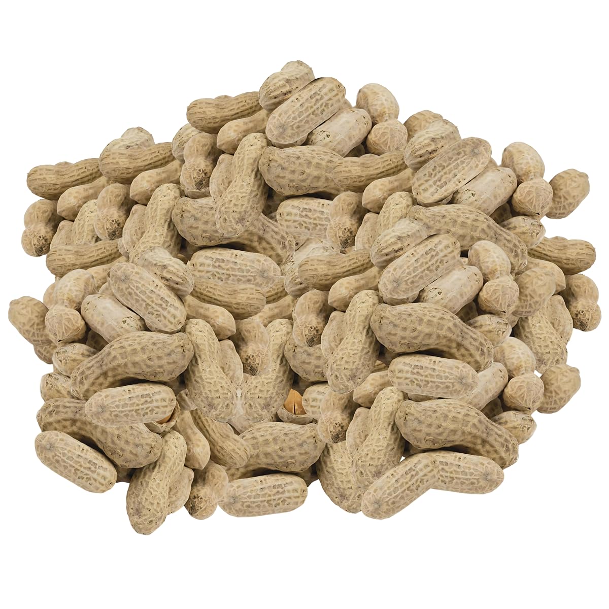 In-Shell Peanuts 10 Pounds B878037