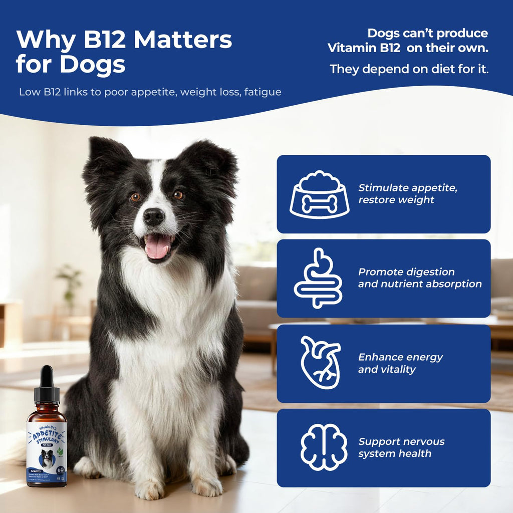 Liquid Vitamin B12 & Methylcobalamin Drops O68804