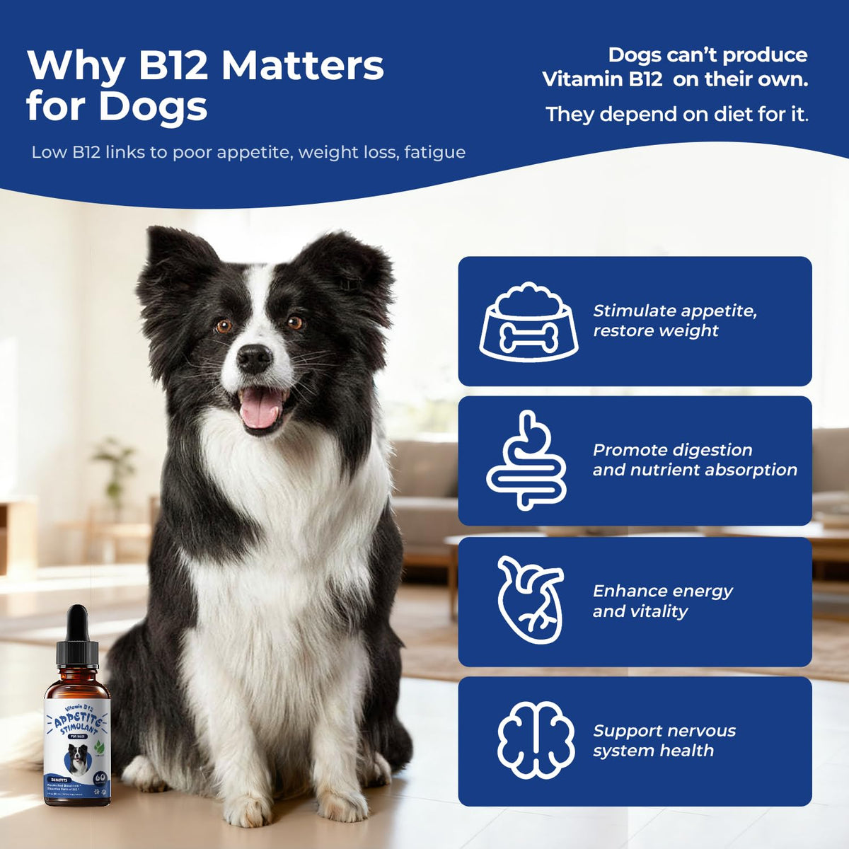 Liquid Vitamin B12 & Methylcobalamin Drops O68804