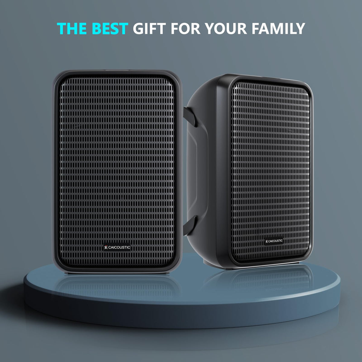 300W 8-Channel Bluetooth PA Speaker System with 8" Subwoofer and 1" Horn Tweeter F94219