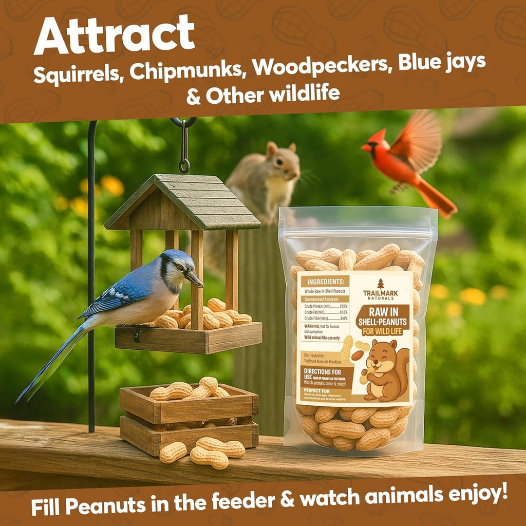 Raw Peanuts for Squirrels and Birds, 5 Pounds Total R195373