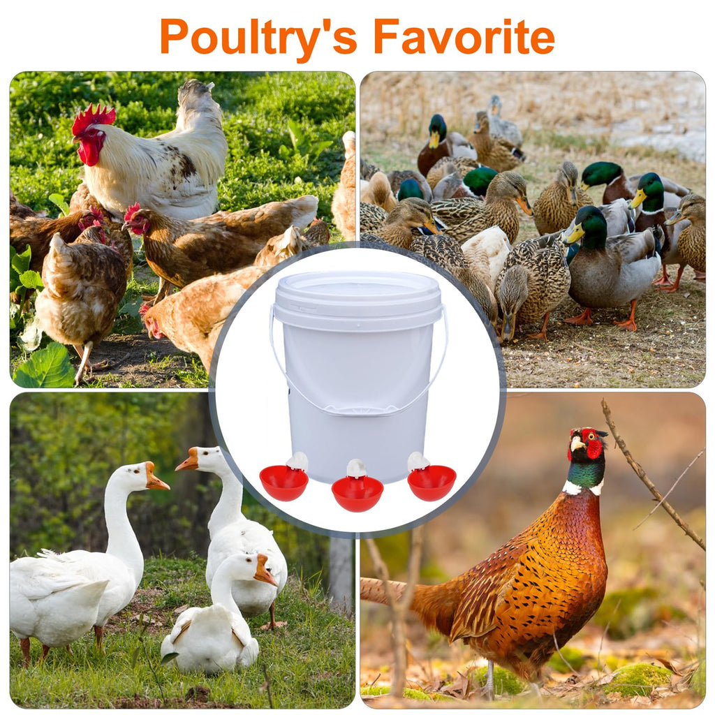 6 Pack Automatic Chicken Waterer Cups N5574