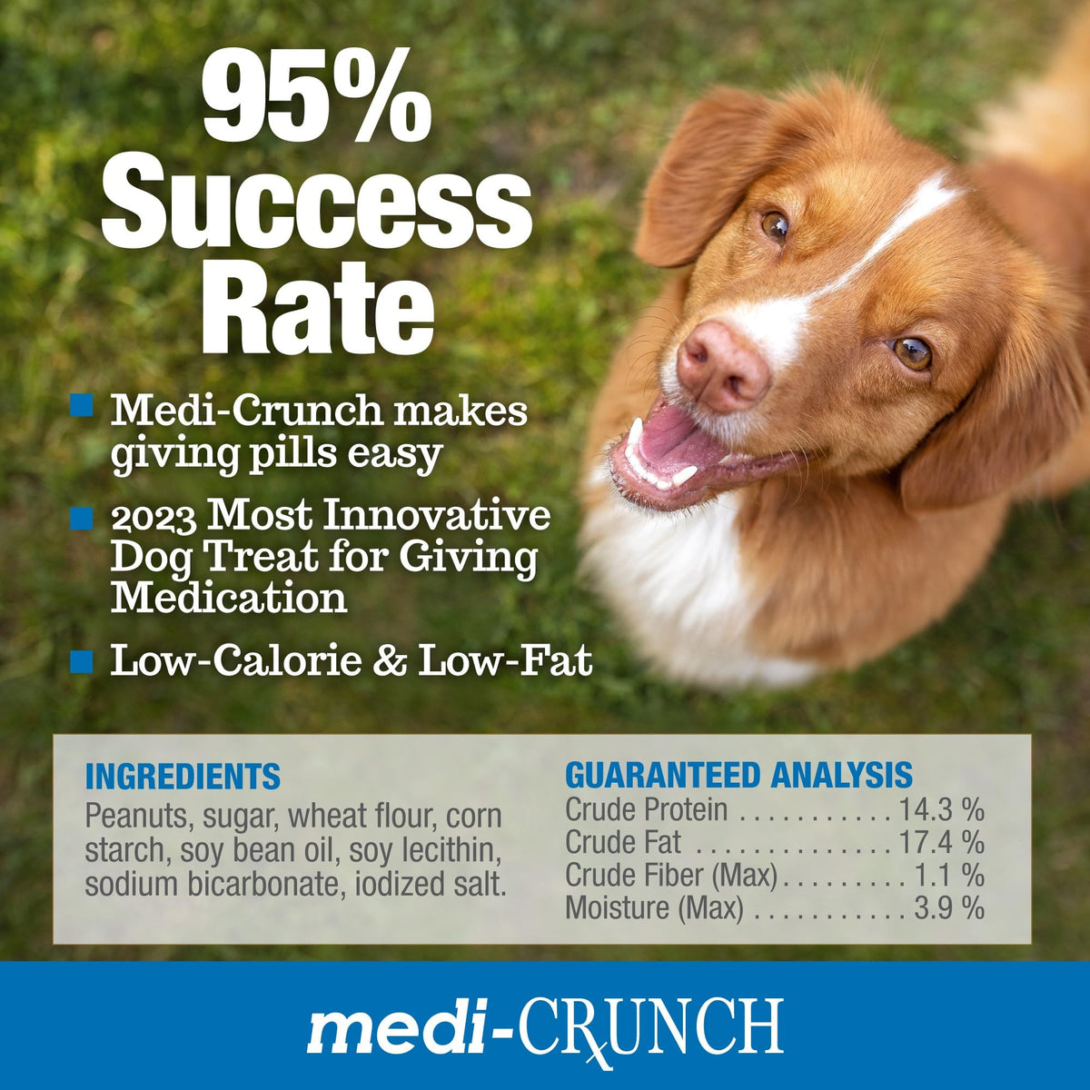 Peanut Butter Dog Pill Treats 90 Count W6554