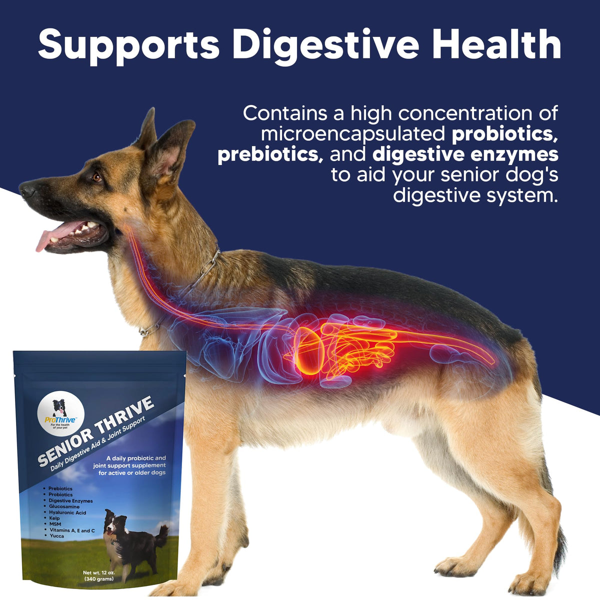 12 Oz Senior Dog Digestive & Joint Supplement W43005