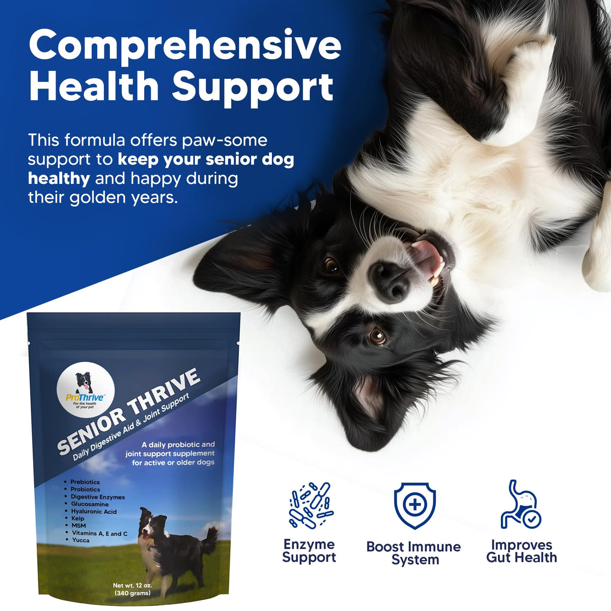 12 Oz Senior Dog Digestive & Joint Supplement W43005