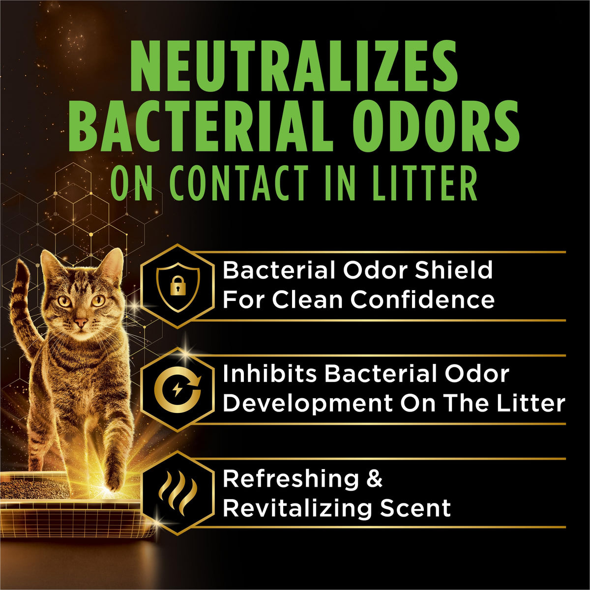 22 lb Cat Litter W8614