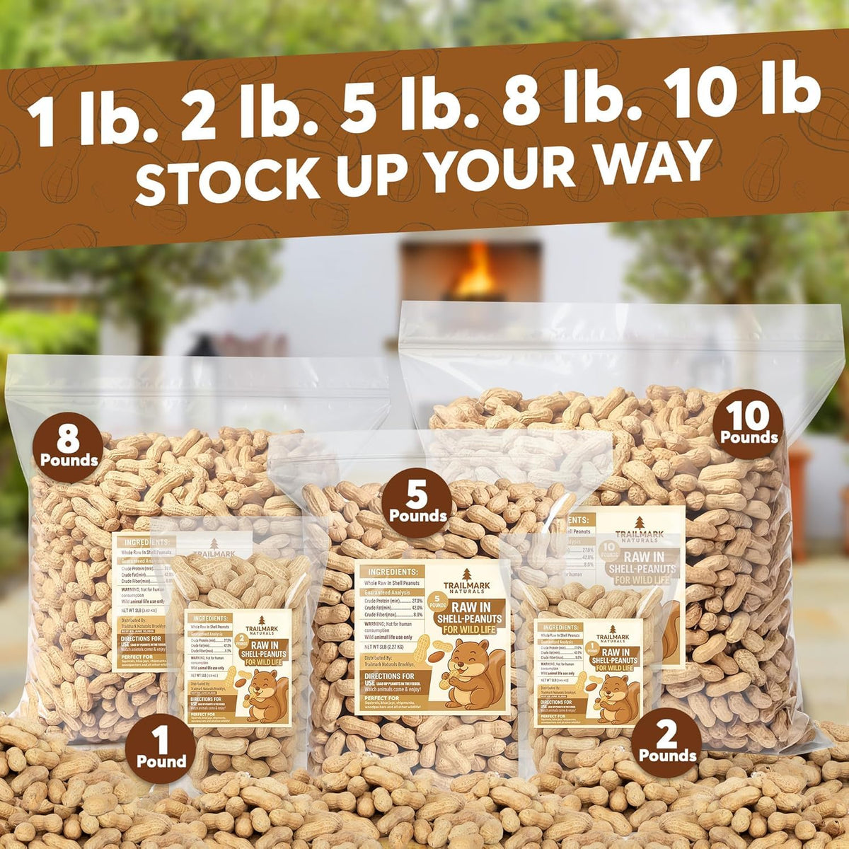 Raw Peanuts for Squirrels and Birds, 5 Pounds Total R195373