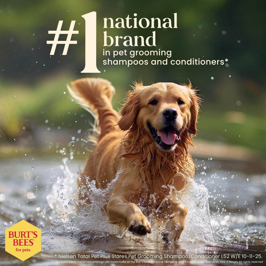 Fragrance-Free Oatmeal Dog Conditioner 10 Fl Oz X6540