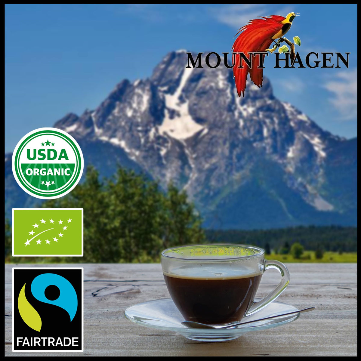 Organic Medium Roast Instant Coffee Packets 2 Pack F602