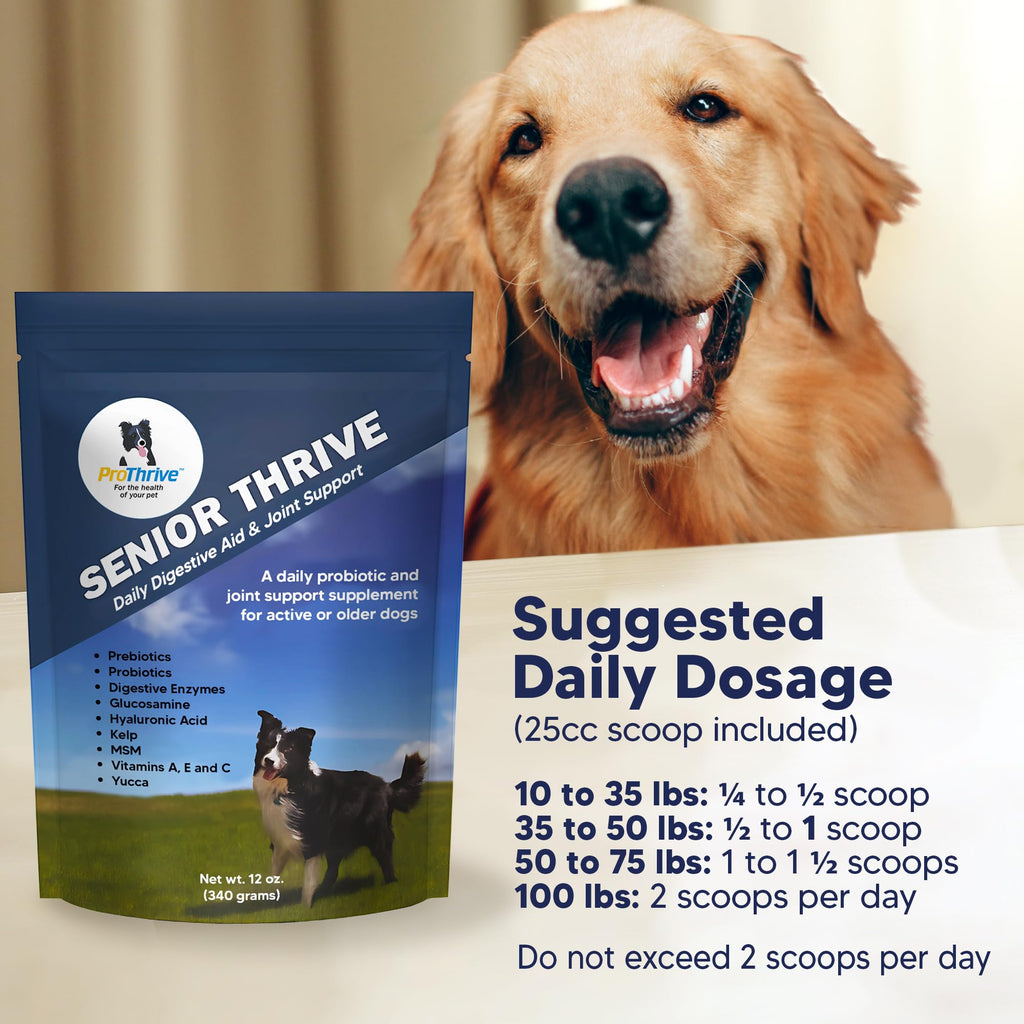12 Oz Senior Dog Digestive & Joint Supplement W43005