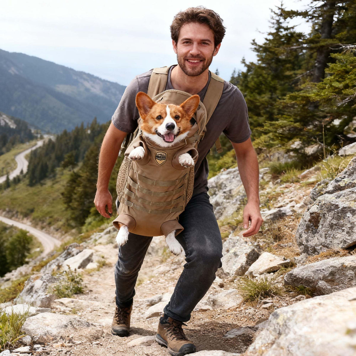 Tactical Dog Backpack Carrier E625349