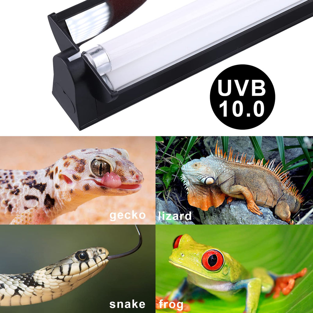 T5 UVB Lighting Combo Kit 22Inch 24W D694