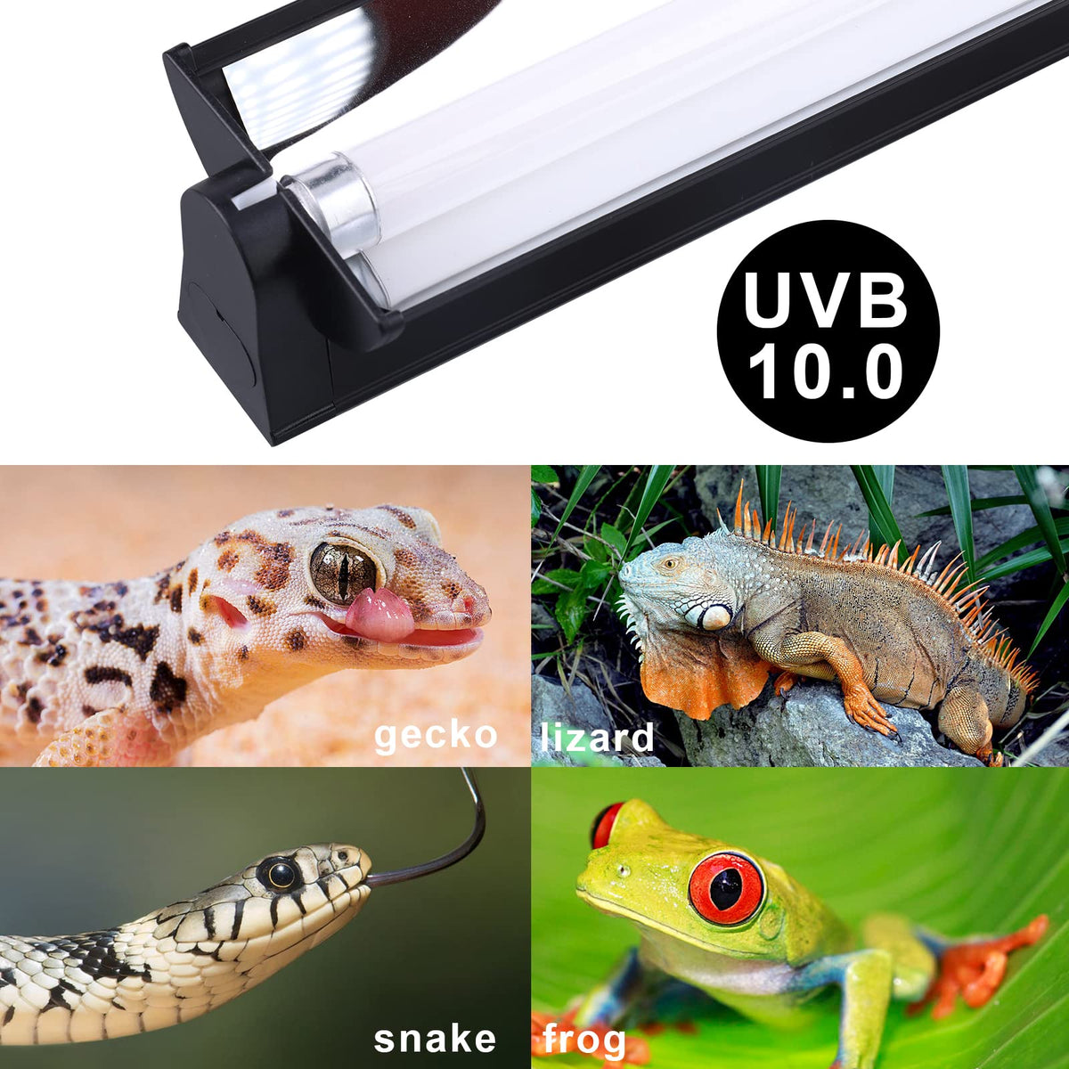 T5 UVB Lighting Combo Kit 22Inch 24W D694