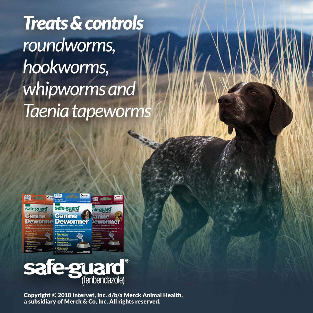 Canine Dewormer 4gm pouch B647843