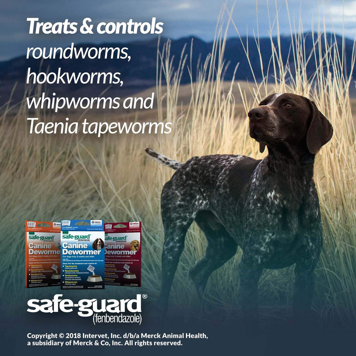 Canine Dewormer 4gm pouch B647843